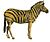 Equus quagga