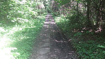 Разбитая дорога к ж.д. платформе, участок через лес
