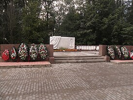 Мемориал жертвам катастрофы (Серафимовское кладбище, Санкт-Петербург)