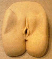 Искусственная вагина