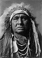 Белый Человек Гонит Его, около 1908. Разведчик из племени кроу в экспедиции генерала Дж. Кастера 1876 г. против лакота и северных шайеннов, закончившейся битвой у Литтл-Бигхорна.