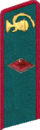 петлица 1937