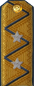 погоны ГБ 1943