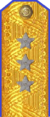 погоны 1943