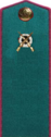 погон 1943