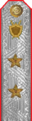 погоны 1943