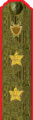 погоны 1943