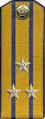 погоны 1946