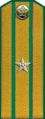 погоны 1946