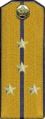 погоны 1946