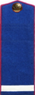 погон 1943