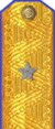 погоны 1955