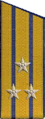 погоны 1956