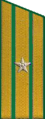 погоны 1956