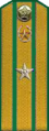 погоны 1956