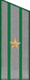 погон 1956