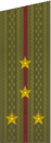 погоны 1969