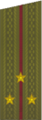 погоны 1969