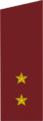 погоны 1973