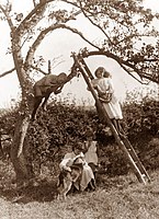 Дети на плодовом дереве