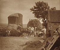 Группа людей загружает сено в телегу, запряжённую двумя лошадьми