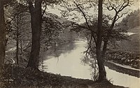 Пейзаж с деревьями и рекой, около 1893