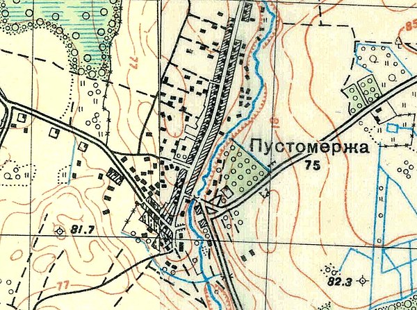 План деревни Большая Пустомержа. 1930 год