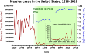 Measles cases 1938—1963 followed a highly variable epidemic pattern, with 150,000-850,000 cases reported per year. A sharp decline followed introduction of the first measles vaccine in 1963, with fewer than 25,000 cases reported in 1968. Outbreaks around 1971 and 1977 gave 75,000 and 57,000 cases, respectively. Cases were stable at a few thousand per year until an outbreak of 28,000 in 1990. Cases declined from a few hundred per year in the early 1990s to a few dozen in the 2000s.