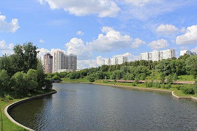 Вид на пруд в парке Школьников