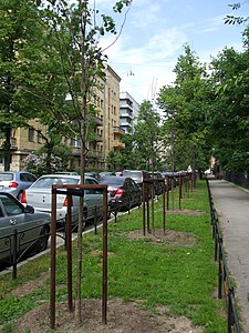 Калужский переулок в сторону Тверской улицы
