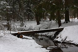 Горетовка, возле деревни Голубое, 2013 год.