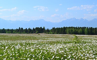 Долина р. Иркут