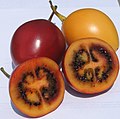 Томатное дерево или тамарильо (Solanum betaceum)