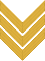 Знак различия (шеврон) комкор (авиации) РККА (1935—1940)