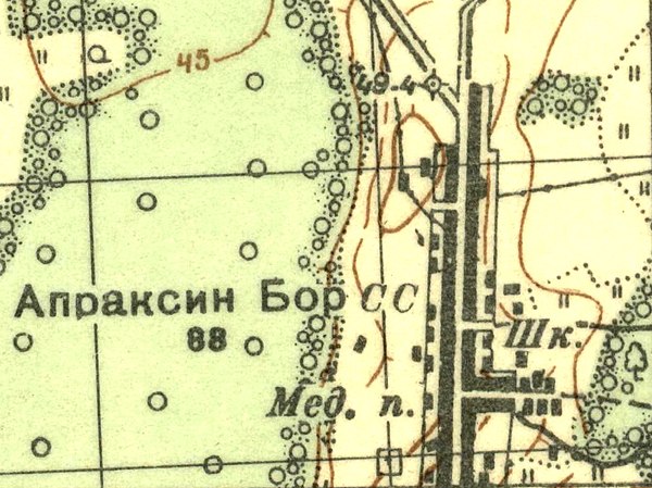 План деревни Апраксин Бор. 1937 год