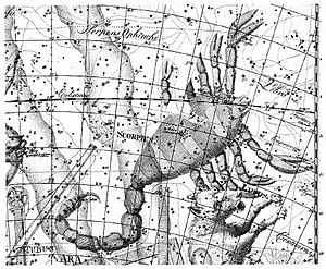 Созвездие Скорпиона в Уранографии.