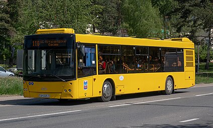 МАЗ-203 (с 2006 года; 581 шт.)