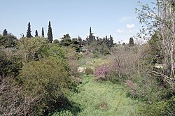 Единственный участок течения на поверхности вблизи храма Зевса Олимпийского, Афины