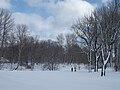 Начало улицы (сад Молво и парк Екатерингоф, разделенные Таракановкой)