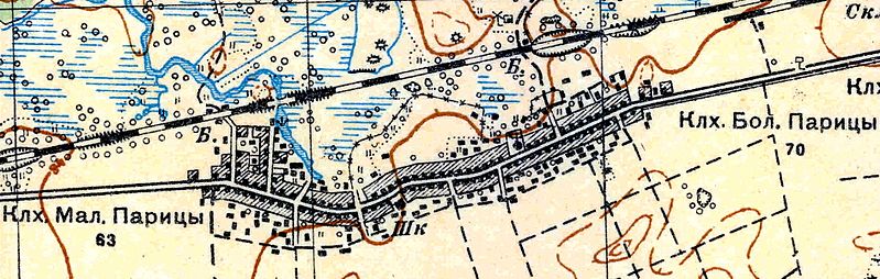 План деревни Парицы. 1931 год