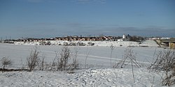 Петропавловский посёлок и Петропавловская церковь у моста Александра Невского, на дальнем плане слева — памятник Александру Невскому