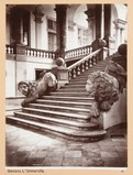 Парадная лестница главного здания Университета. 1634—1640. Архитектор Б. Бьянко. Фотография 1880-х гг.