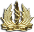 Общий знак