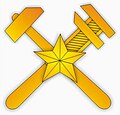 Петличная и погонная эмблема военнослужащих Топографической службы Вооружённых сил Российской Федерации (с 2009 г.)