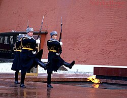 Почётный караул у Вечного огня на могиле Неизвестного солдата в Москве, 2015