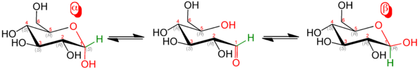 Равновесие между аномерами D-глюкозы