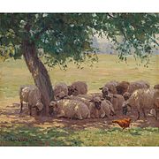 Chicken and sheep in the shade