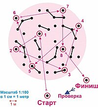 Карта СЛ (сложная дистанция)