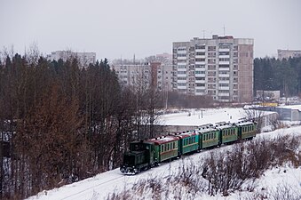 Пассажирский поезд Каринской УЖД.