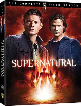 Обложка DVD-издания 5-го сезона